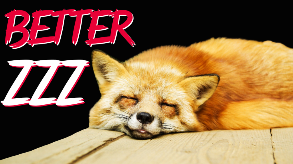 A peaceful fox napping on a wooden surface with the word "better" in bold, stylized red and white text above it.